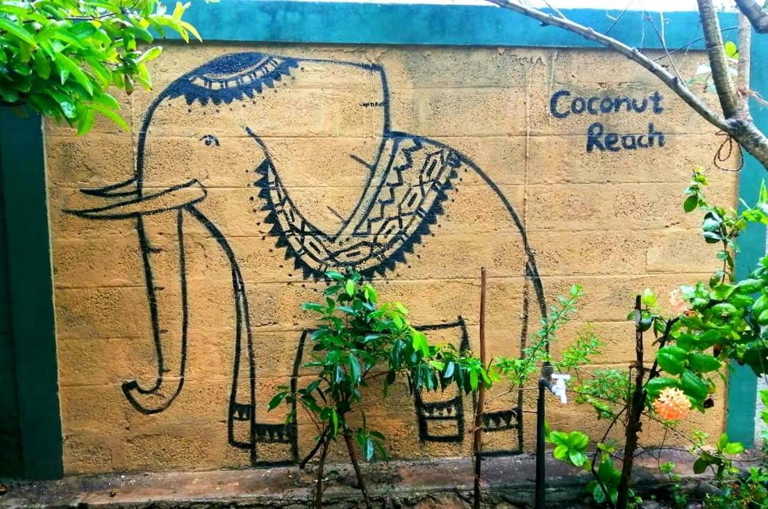 米瑞莎 Coconut Reach酒店 外观 照片